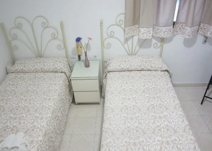 Avenida Casa de hóspedes 3*